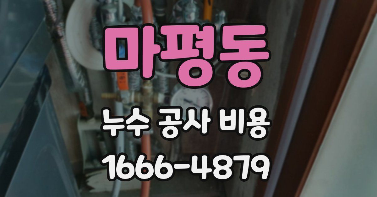 마평동 누수 공사 비용