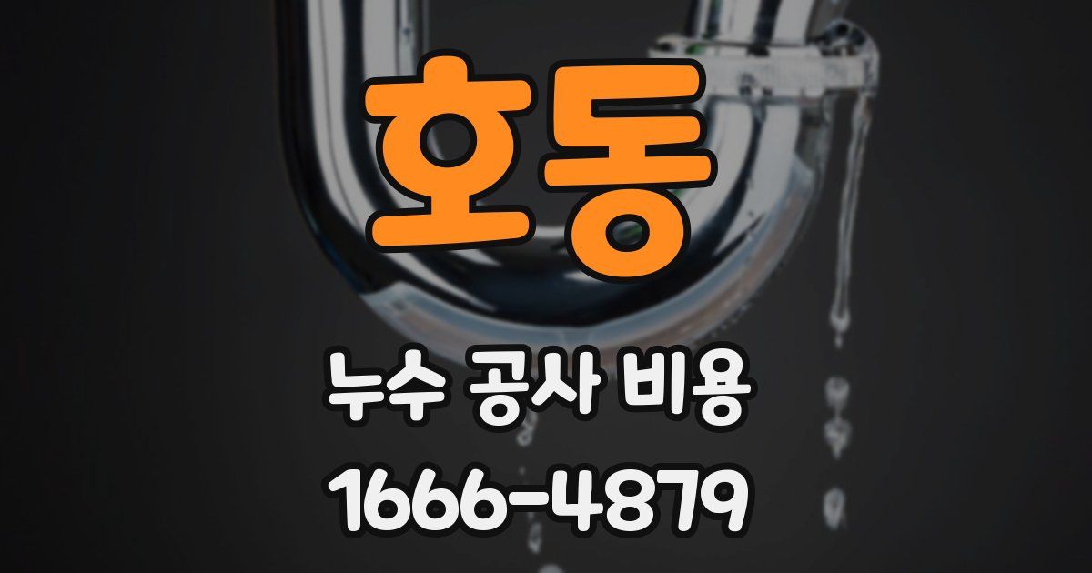 호동 누수 공사 비용