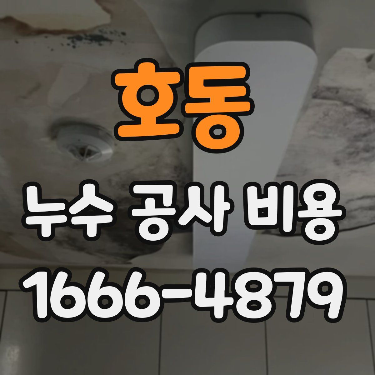호동 누수 공사 비용