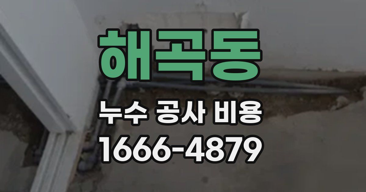 해곡동 누수 공사 비용