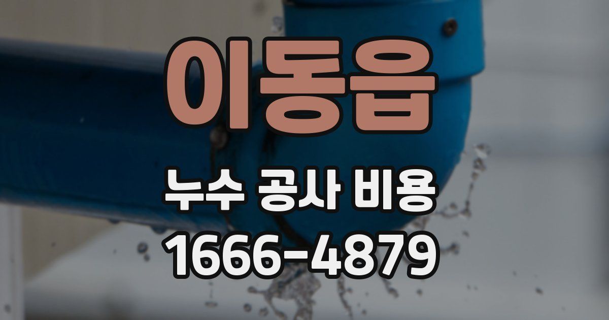 이동읍 누수 공사 비용