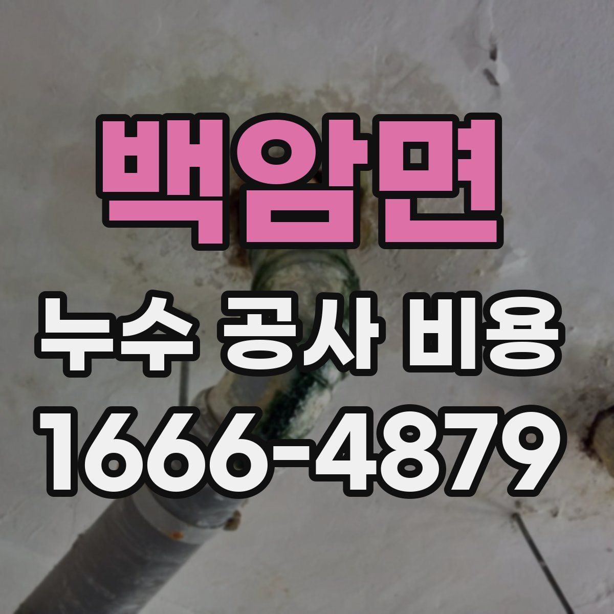 백암면 누수 공사 비용