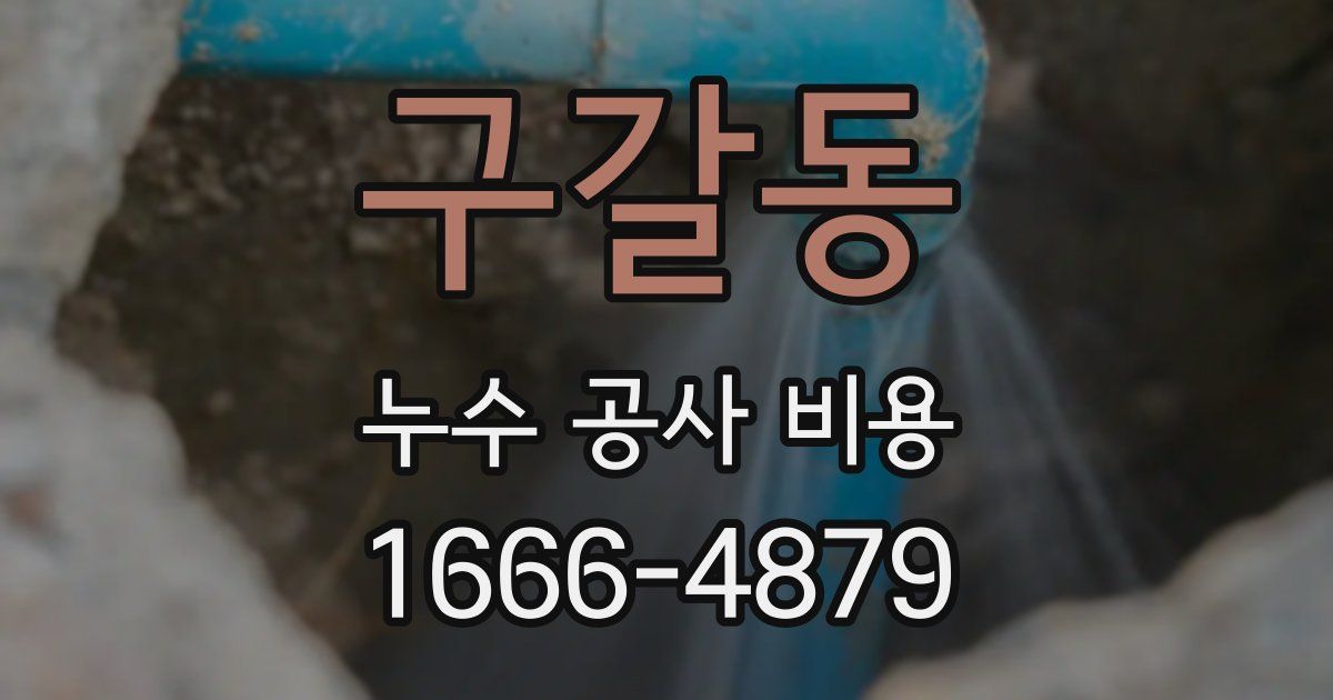 구갈동 누수 공사 비용