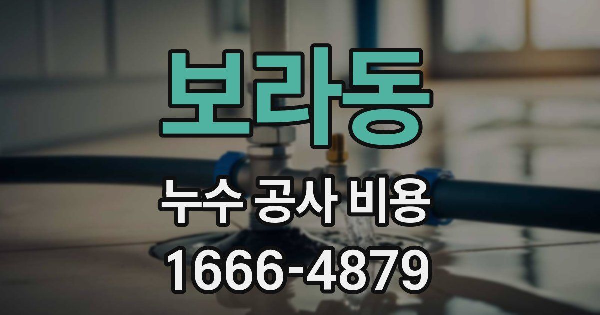 보라동 누수 공사 비용