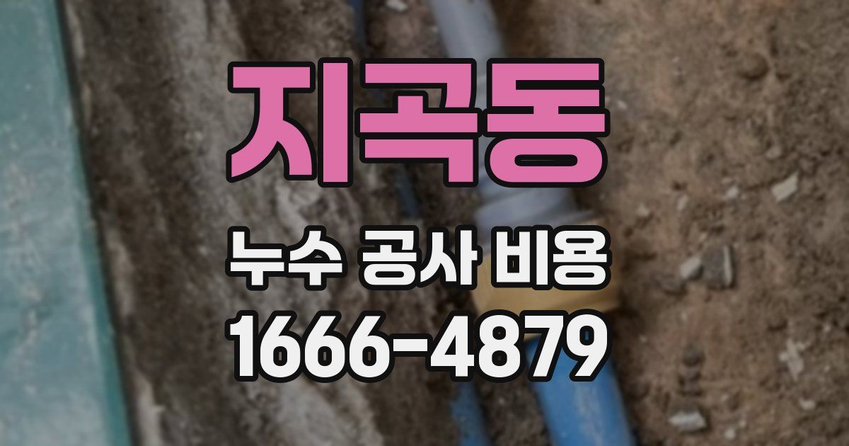 지곡동 누수 공사 비용