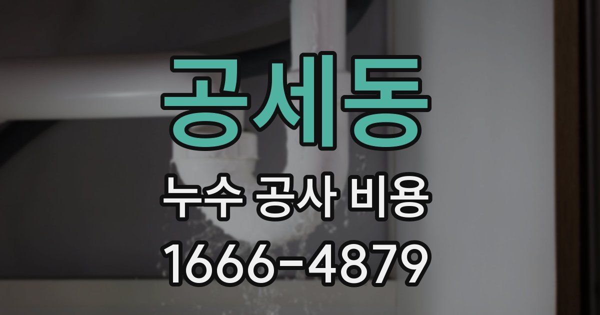 공세동 누수 공사 비용