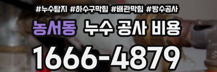 농서동 누수 공사 비용
