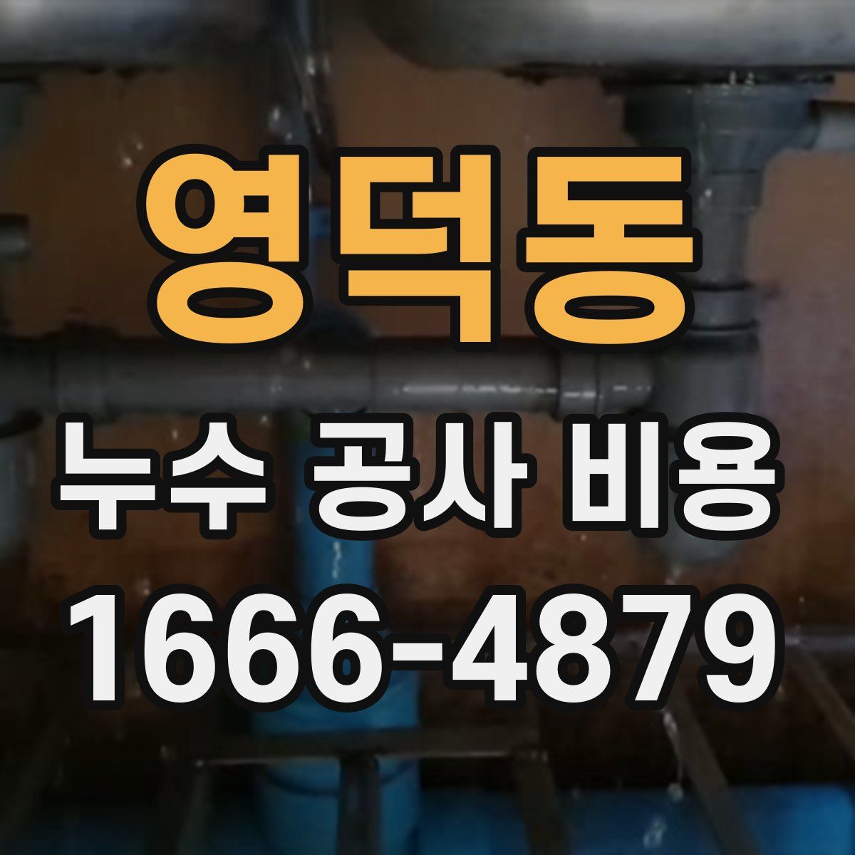 영덕동 누수 공사 비용