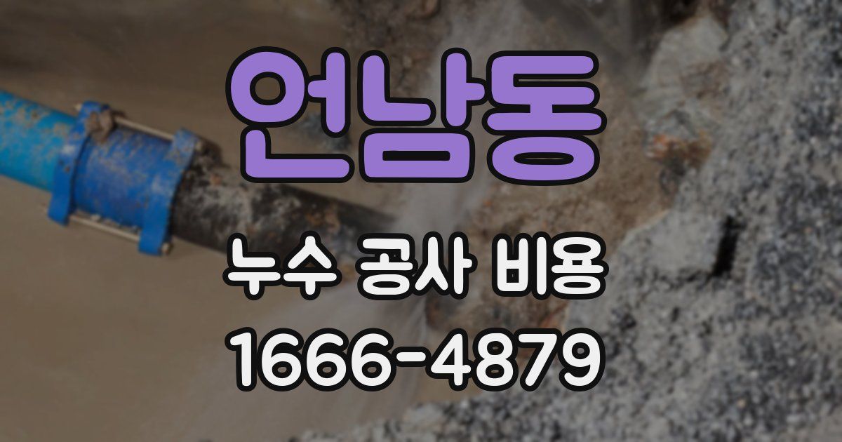 언남동 누수 공사 비용