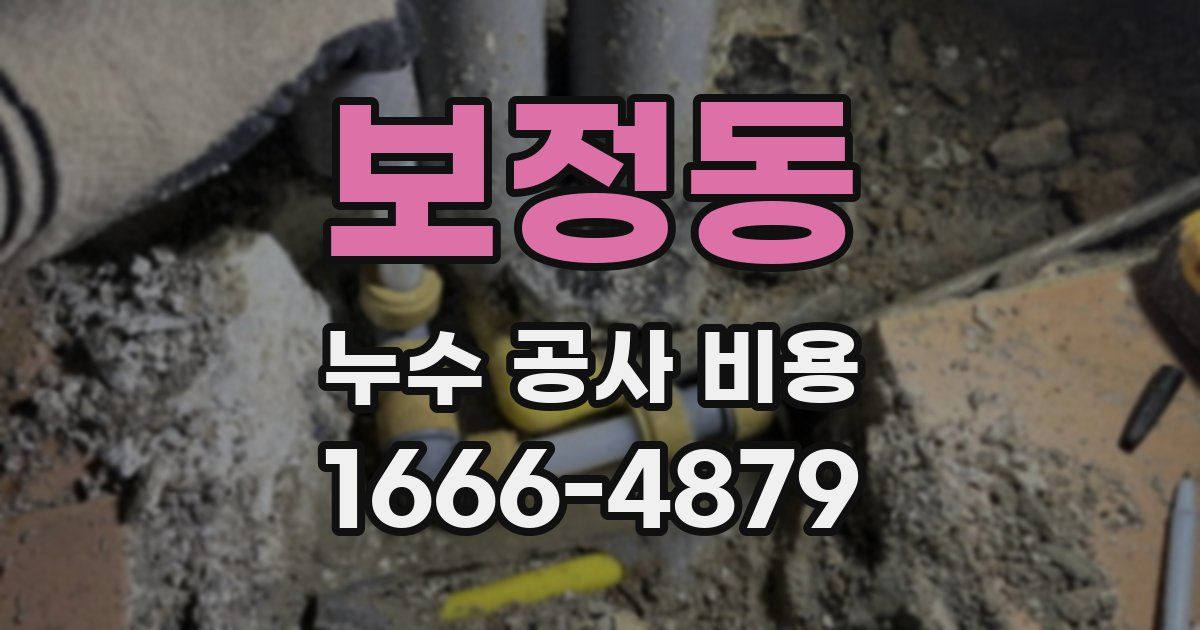보정동 누수 공사 비용