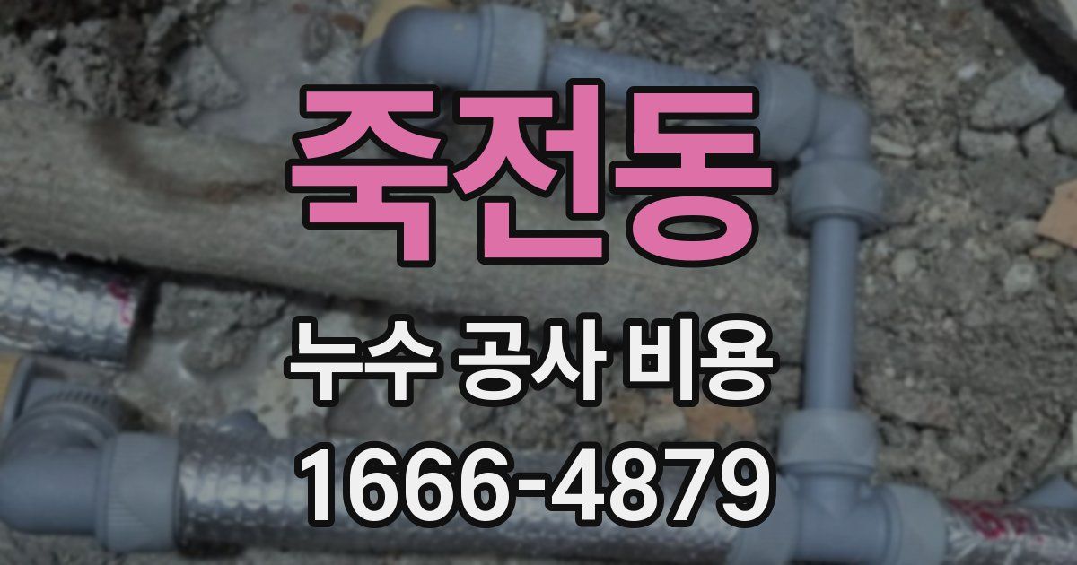 죽전동 누수 공사 비용