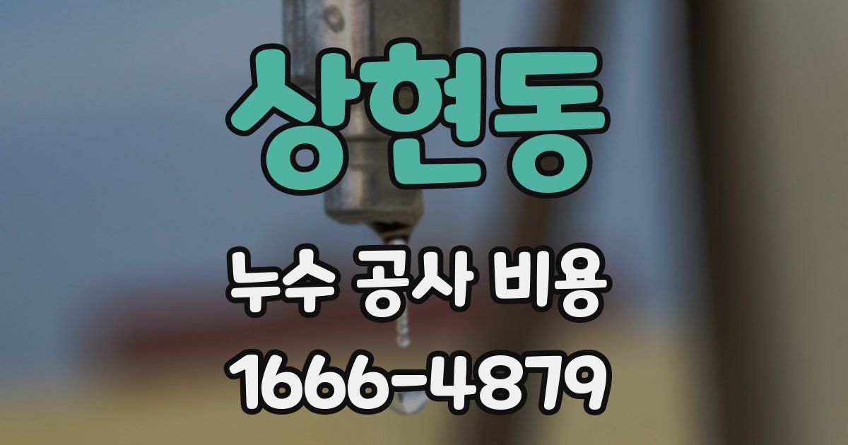 상현동 누수 공사 비용