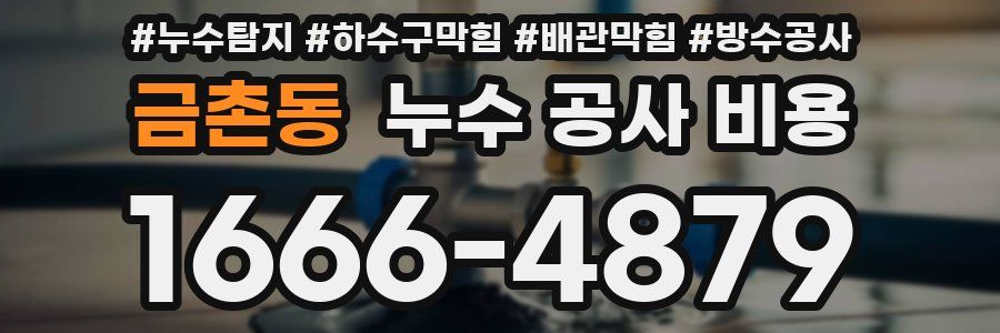 금촌동 누수 공사 비용