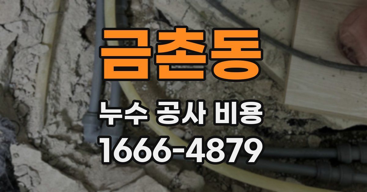 금촌동 누수 공사 비용