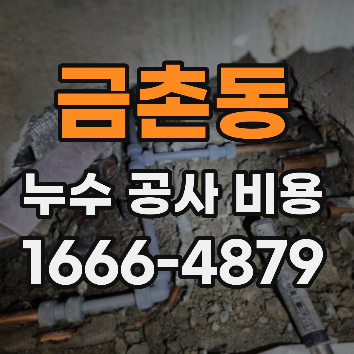 금촌동 누수 공사 비용