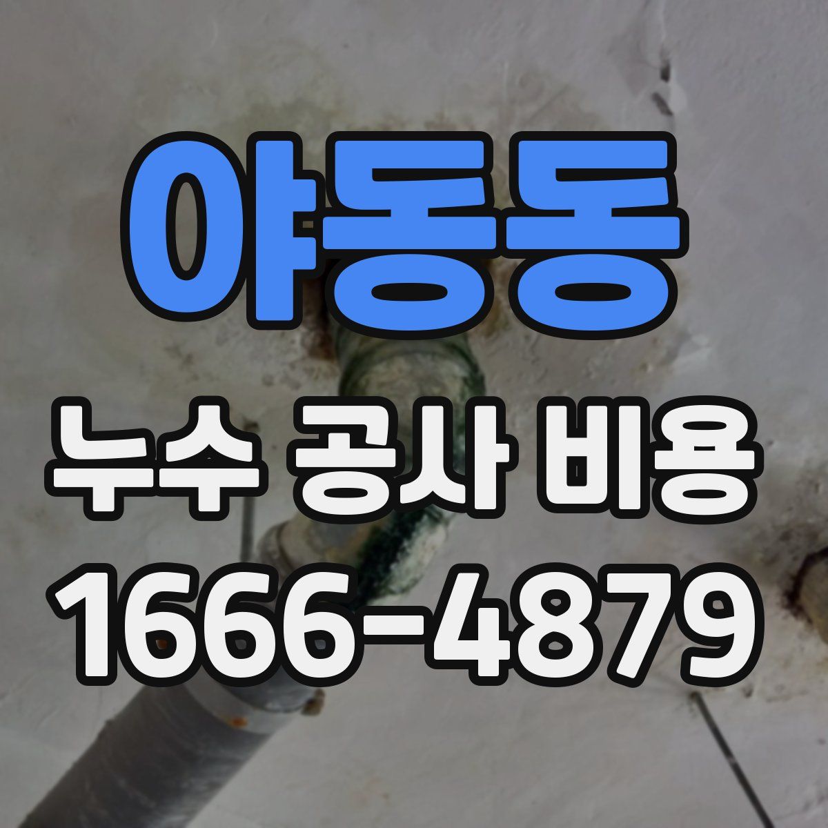 야동동 누수 공사 비용
