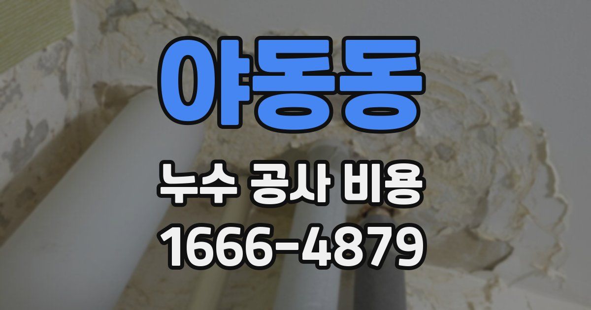 야동동 누수 공사 비용