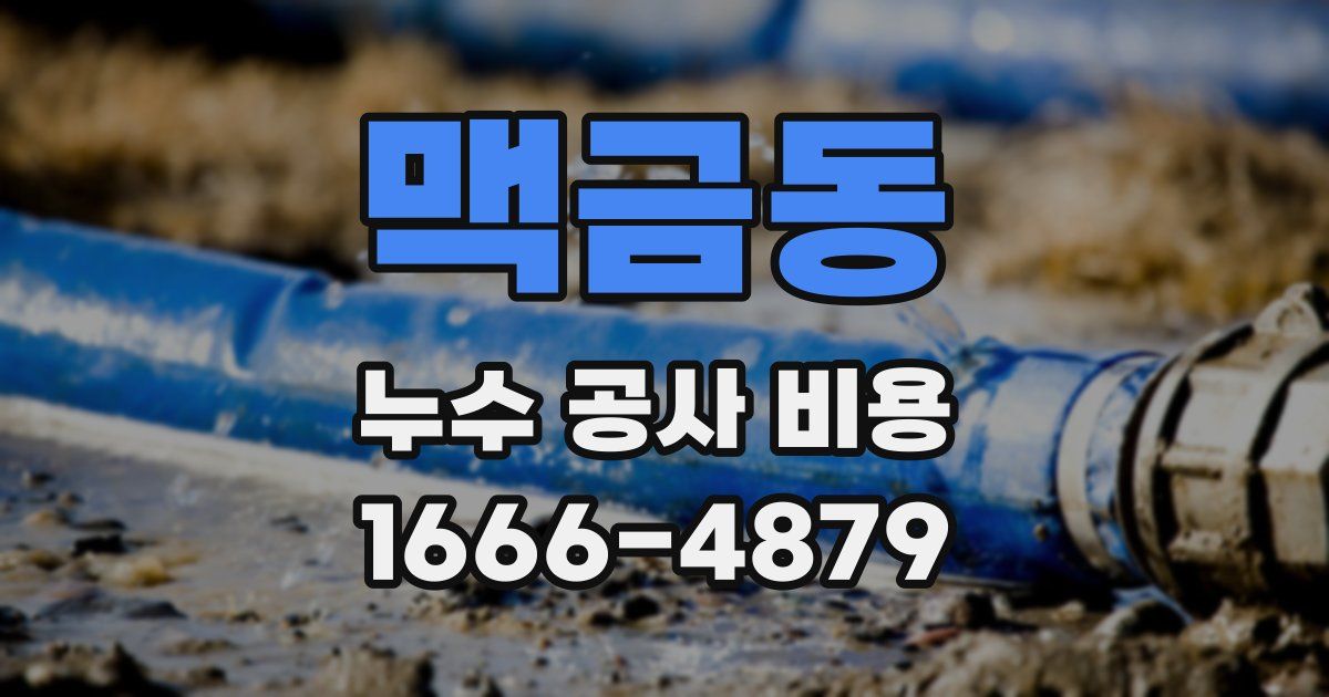 맥금동 누수 공사 비용