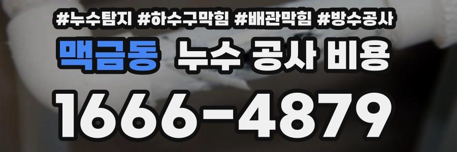 맥금동 누수 공사 비용