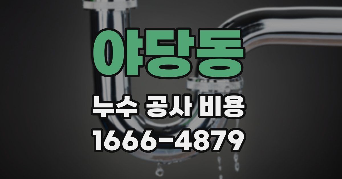 야당동 누수 공사 비용