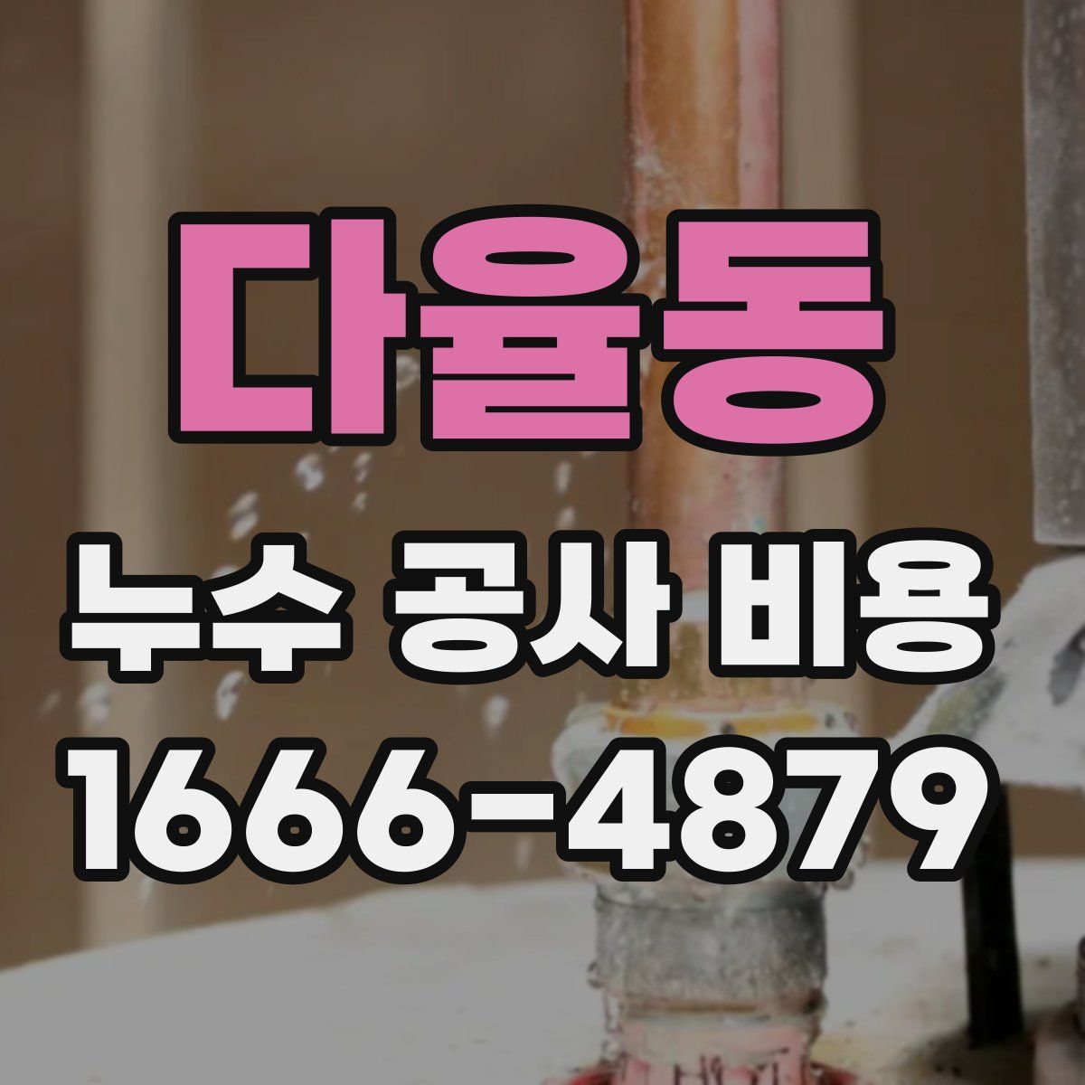다율동 누수 공사 비용