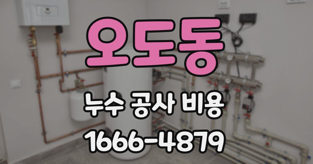 오도동 누수 공사 비용