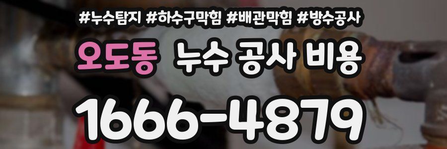오도동 누수 공사 비용