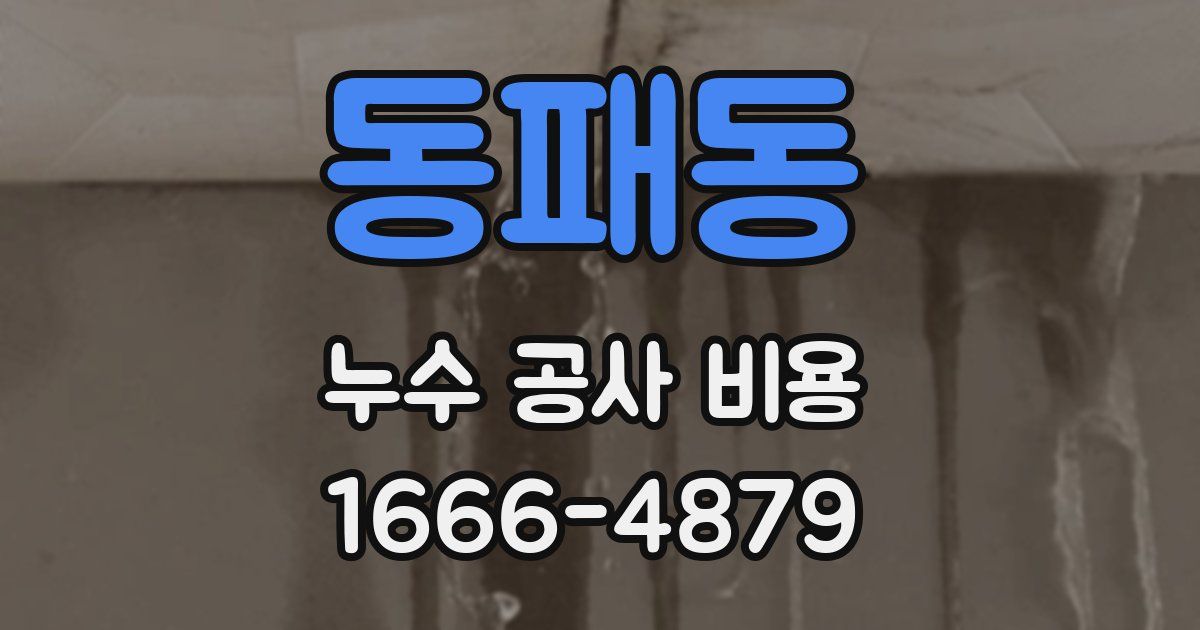 동패동 누수 공사 비용
