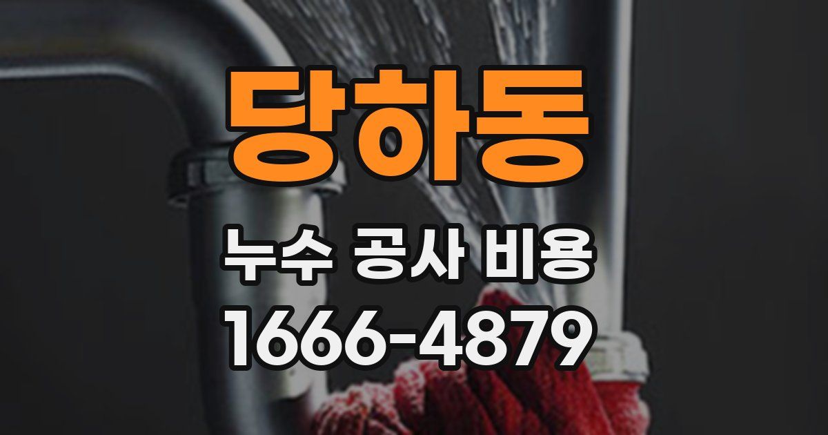 당하동 누수 공사 비용