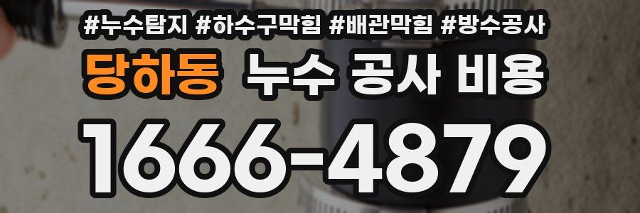 당하동 누수 공사 비용