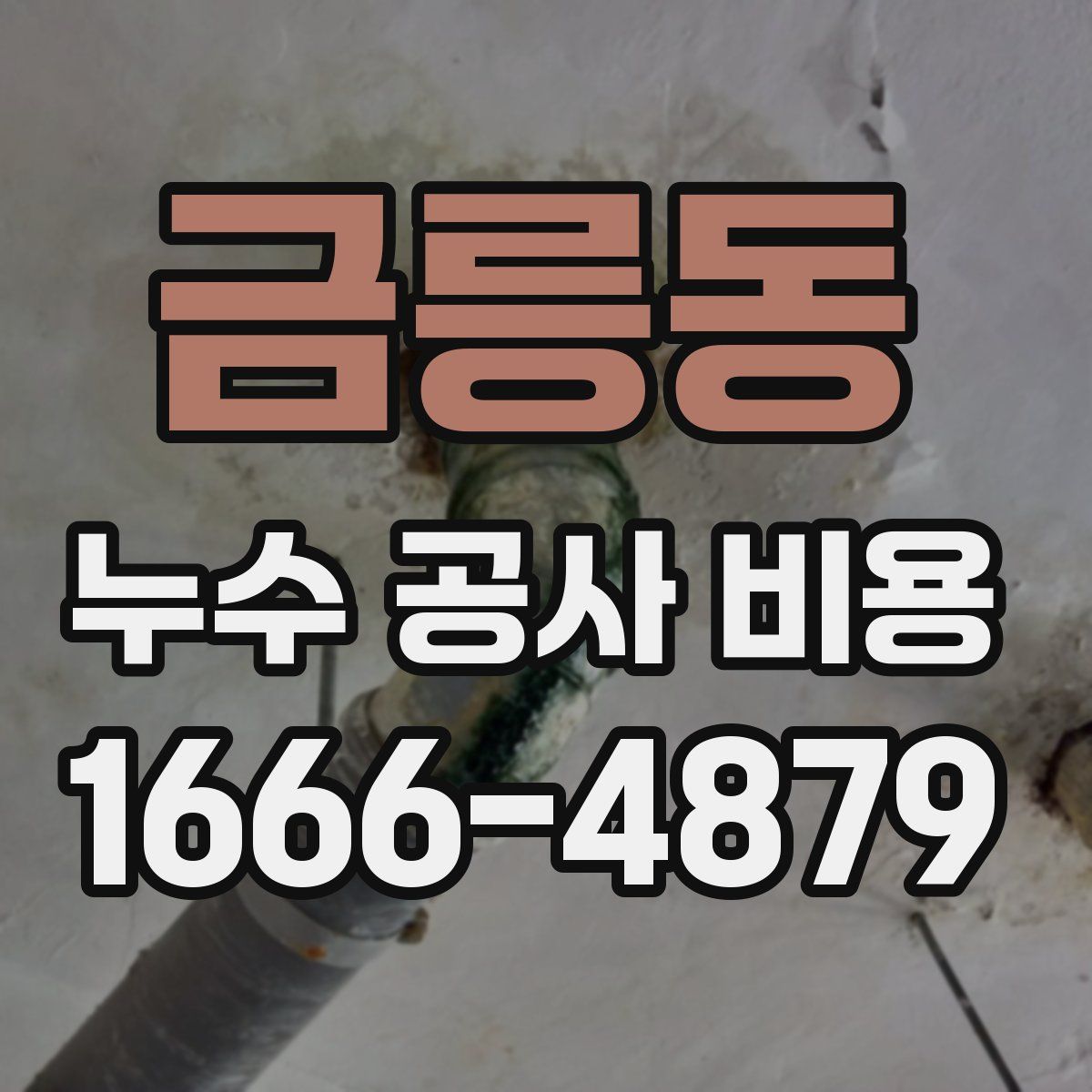 금릉동 누수 공사 비용