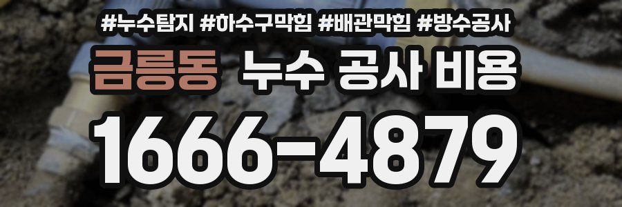 금릉동 누수 공사 비용