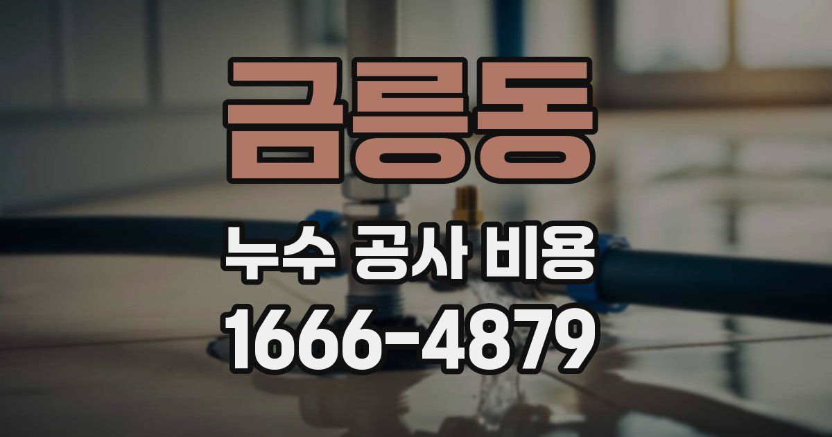 금릉동 누수 공사 비용