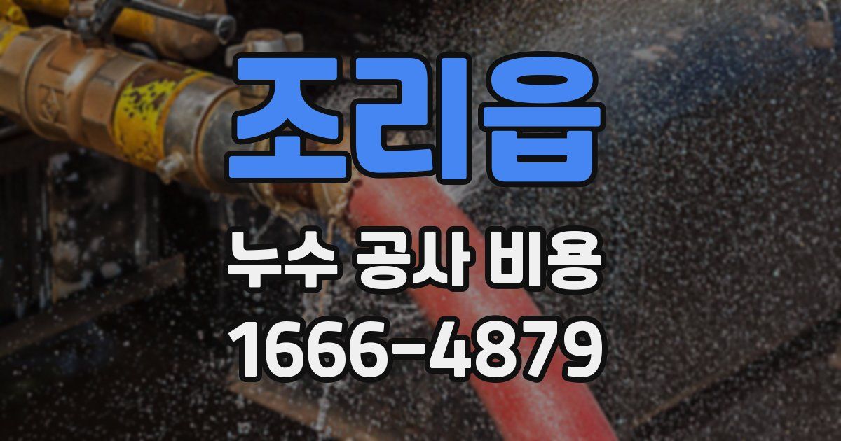 조리읍 누수 공사 비용
