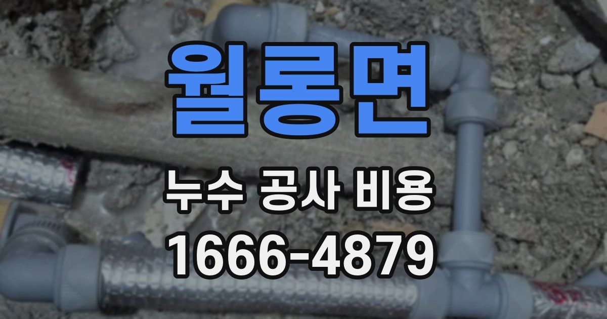 월롱면 누수 공사 비용