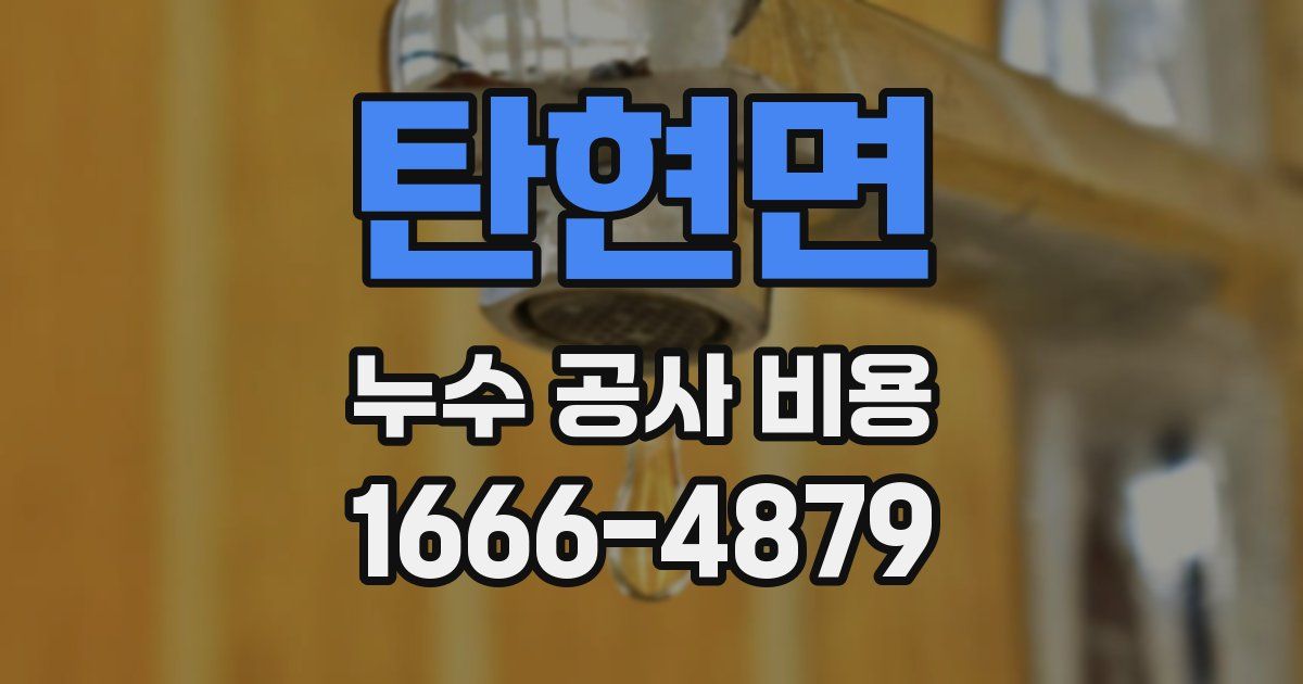 탄현면 누수 공사 비용
