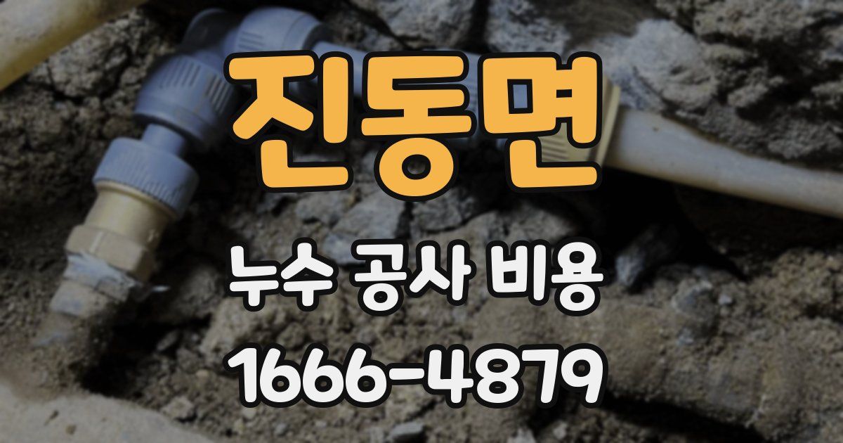 진동면 누수 공사 비용