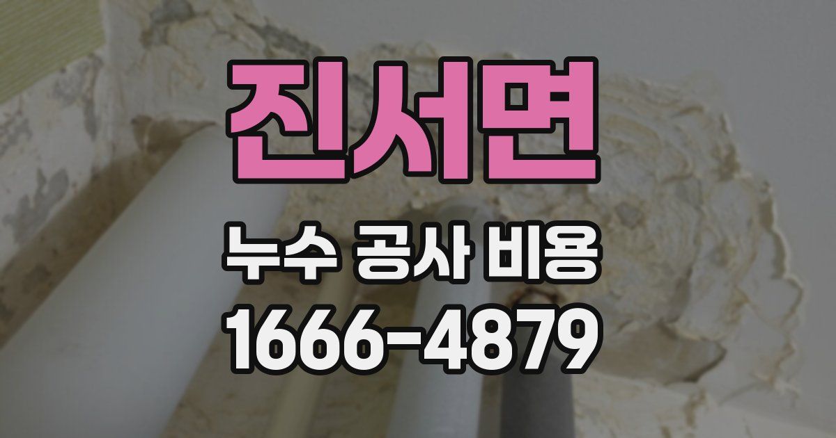 진서면 누수 공사 비용