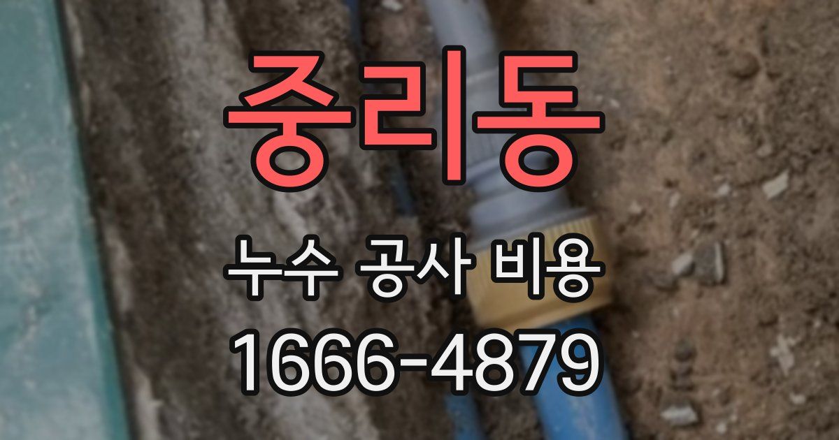 중리동 누수 공사 비용