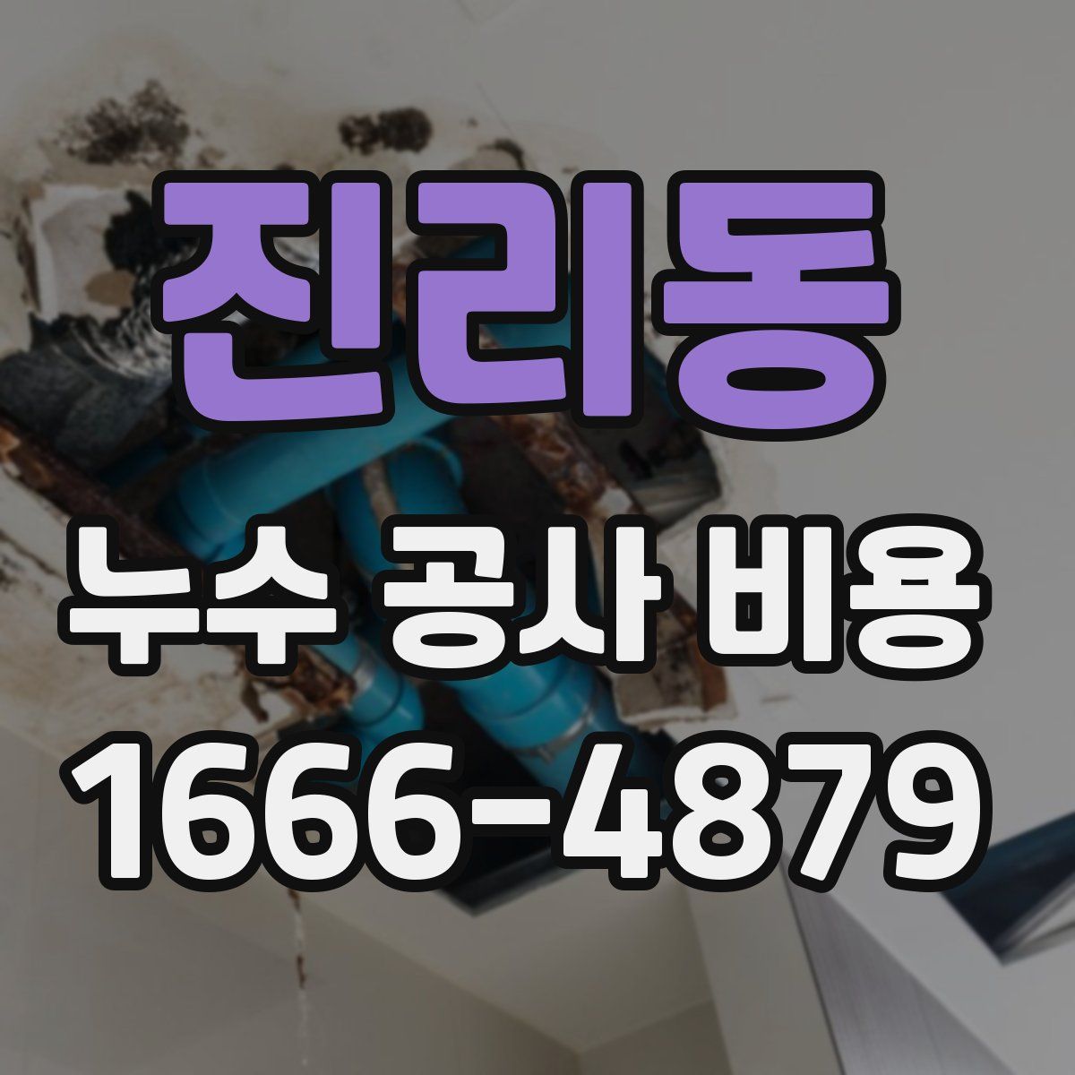 진리동 누수 공사 비용