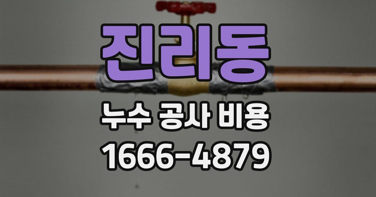 진리동 누수 공사 비용