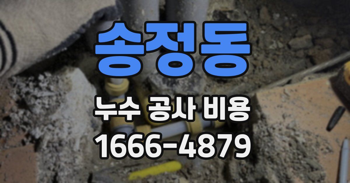 송정동 누수 공사 비용