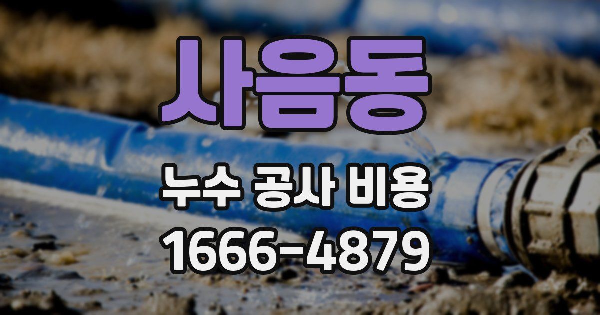 사음동 누수 공사 비용