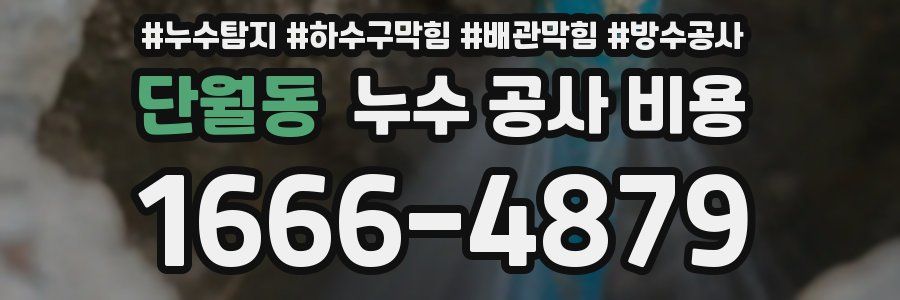 단월동 누수 공사 비용