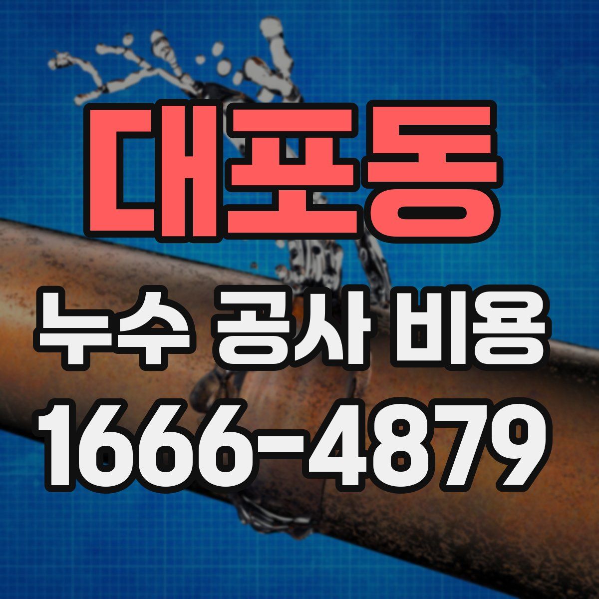 대포동 누수 공사 비용
