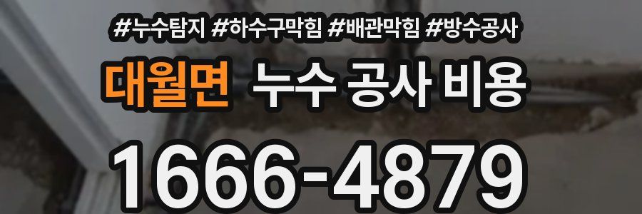 대월면 누수 공사 비용