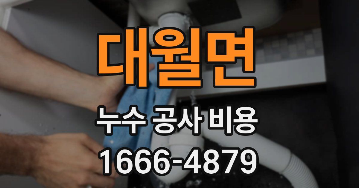 대월면 누수 공사 비용