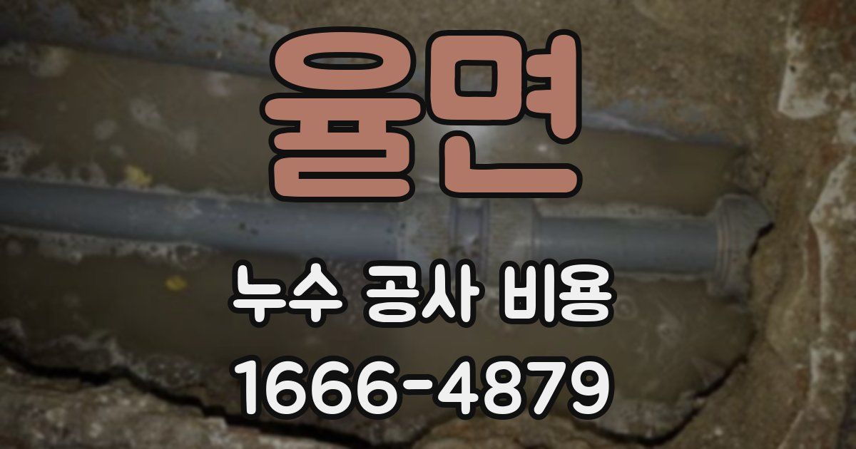 율면 누수 공사 비용