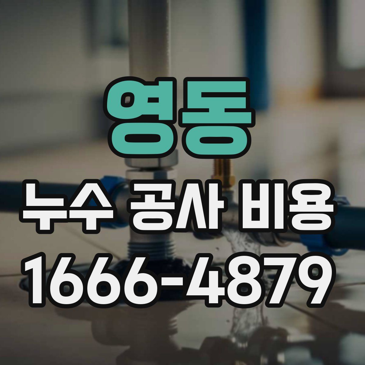 영동 누수 공사 비용