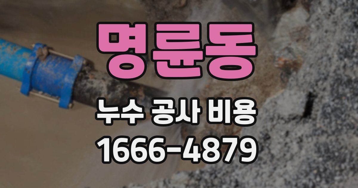 명륜동 누수 공사 비용